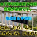手賀沼＆下手賀沼水系での釣りには注意が必要です。亀成川＆手賀川　　駐車禁止、釣り、ルアー禁止、遊漁券必要等、罰則あり。