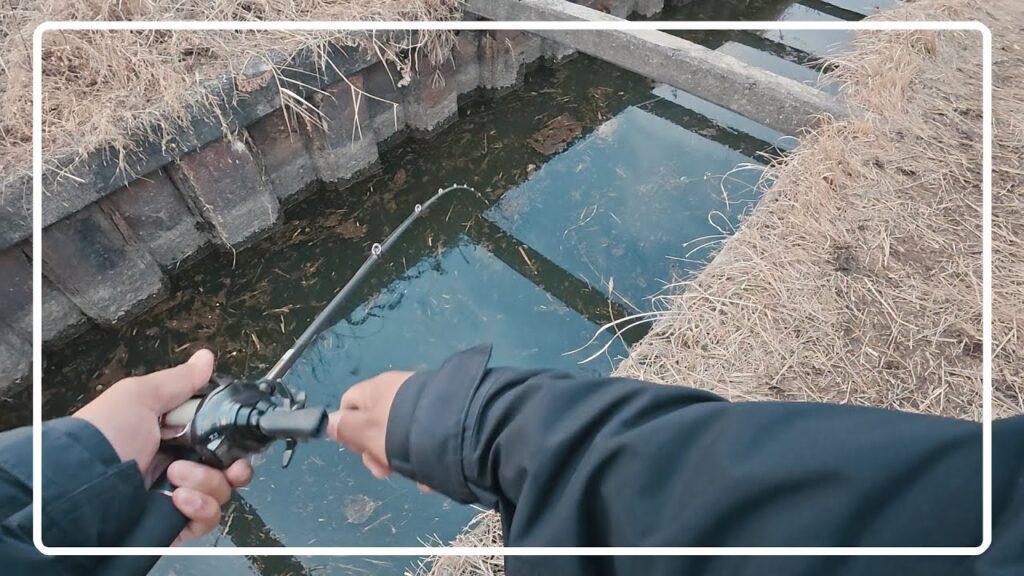 鉄骨水路にリベンジしに行ったら…信じられない事が起きました【印旛沼水系】