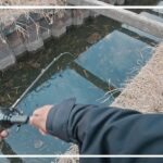 鉄骨水路にリベンジしに行ったら…信じられない事が起きました【印旛沼水系】