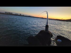寒いけど浜名湖でちょっと釣りをしてみたくなる動画【浜名湖釣り】🎣