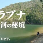 伊藤さとしが鳳来湖に眠る美ベラを狙う 『ヘラブナギャラリー 伊藤さとし×鳳来湖 奥三河の秘境に眠る美ベラ』【釣りビジョン】