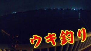 【碧南ウキ釣り】釣り/海釣り/碧南海釣り公園/碧南釣り広場/ウキ釣り/温排水/衣浦湾/クロダイ/チヌ/キビレ/セイゴ/スズキ/シーバス