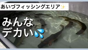 あいづフィッシングエリア✨みんなデカいとんでもないエリア💦【エリアトラウト】【管理釣り場】