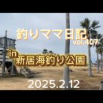 釣りママ日記vol.407新居海釣り公園
