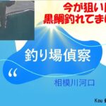 vol032　相模川河口偵察へ。クロダイ釣れてました。