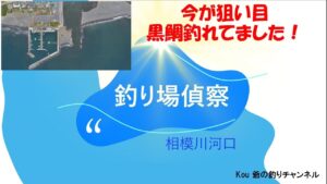 vol032 相模川河口偵察へ。クロダイ釣れてました。