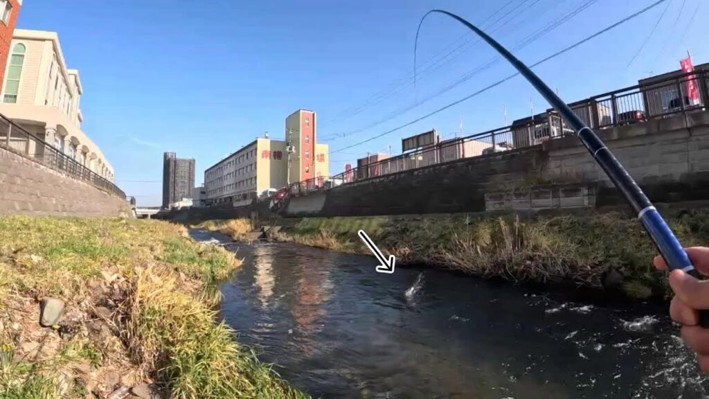 勝納川 釣りポイント探しがいりませんwww