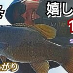 yasu 真冬最高の１本！【川バス釣り】スモールマウスバス2026年1月BassFishing