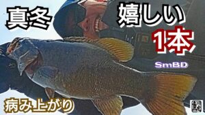 yasu 真冬最高の1本!【川バス釣り】スモールマウスバス2026年1月BassFishing