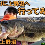 #1 久しぶりに上野沼に行ってみた‼︎ /宮嶋駿介