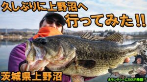 #1 久しぶりに上野沼に行ってみた‼︎ /宮嶋駿介