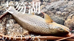 【支笏湖】わずか10分での出来事である【ブラウントラウト】