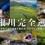 【渓流釣り】大河・利根川源流、大イワナ踊る谷に入り込む。100年前の記録をたどり、「川の始まり」を目指す4日間