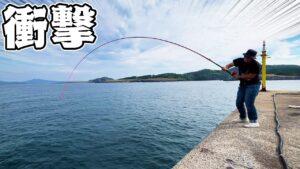 【神回】釣りよか10年の歴史で堤防から最大の魚が釣れた!【離島生活#34】
