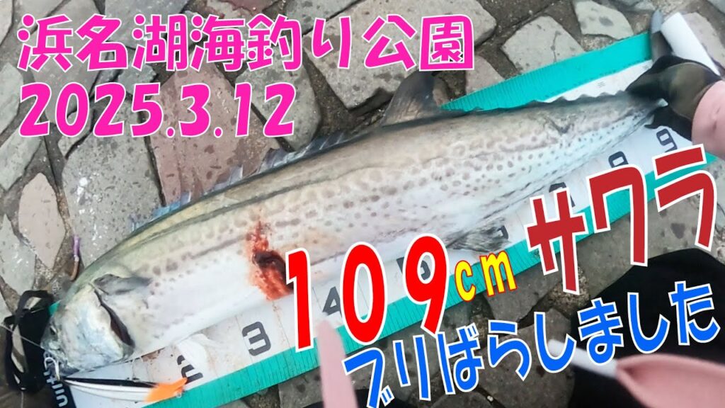 サワラ109㎝　ブリもいたぜ　浜名湖海釣り公園　2025年3月12日　15時~18時　最高だ　ショアジギングってスゴイと思います。マジで