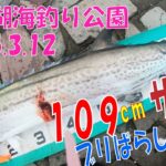 サワラ109㎝　ブリもいたぜ　浜名湖海釣り公園　2025年3月12日　15時~18時　最高だ　ショアジギングってスゴイと思います。マジで