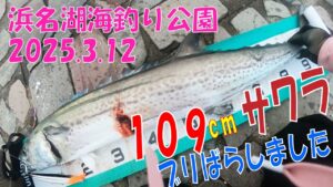 サワラ109㎝ ブリもいたぜ 浜名湖海釣り公園 2025年3月12日 15時~18時 最高だ ショアジギングってスゴイと思います。マジで