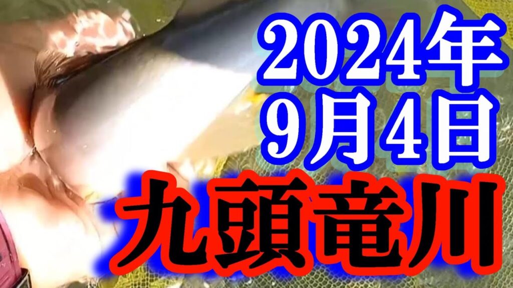 鮎釣り 10cm高クリア  吉波 九頭竜川 2024年