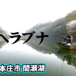 石井忠相のヘラブナ釣り。春の間瀬湖を長竿で堪能する 1/2 『ヘラブナギャラリー 石井忠相×春到来 間瀬湖の桜に酔いしれる』【釣りビジョン】