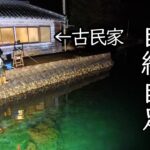 #12【田舎暮らし】庭の海で釣りと生き物調査して獲れた食材で自給自足してみた【古民家】