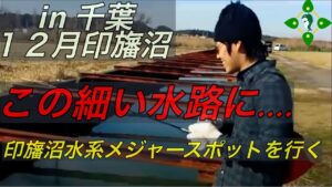 バス釣り 関東 千葉 野池 オカッパリ冬12月印旛沼水系[にいやん バス釣りTV]温排水