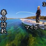 #13【田舎暮らし】春の海で釣りをして海岸でお宝を見つけた日【古民家】