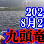 鮎釣り  -15cm 吉波 九頭竜川 2024年