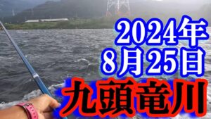 鮎釣り  -15cm 吉波 九頭竜川 2024年