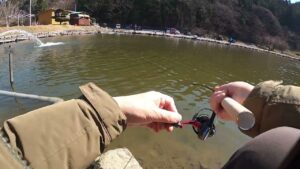 ニジマス1匹目【管理釣り場のルアーフィッシングinウェルカムオーパ】