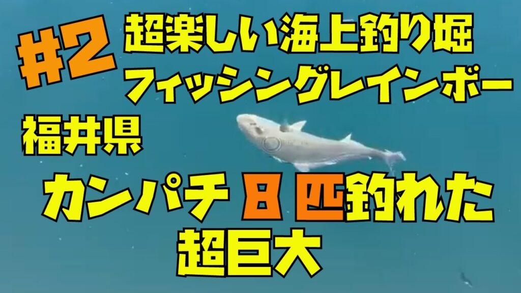 【#2 海上釣り堀】福井県フィッシングレインボーで巨大なカンパチも釣れます！みんなで釣りを楽しみました！