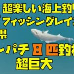 【#2 海上釣り堀】福井県フィッシングレインボーで巨大なカンパチも釣れます！みんなで釣りを楽しみました！