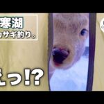 【北海道 釣り】2年目！釧路阿寒湖でのワカサギ釣りを楽しんでいたらまさかのお客様が…