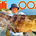 【2人旅 #2】堤防の足元で巨大高級魚クエが釣れた！！！