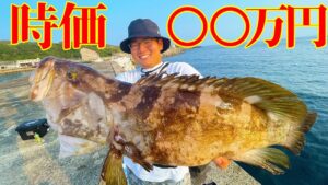 【2人旅 #2】堤防の足元で巨大高級魚クエが釣れた！！！