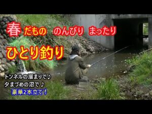 春にのんびり釣り♪トンネルの溜まりで川釣り＆夕まづめの沼で釣り♪2本続けてお届けします。ゆる～くながめて日々の疲れを癒してください♪