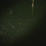 別所沼釣り映像2018.22.21