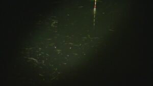 別所沼釣り映像2018.22.21