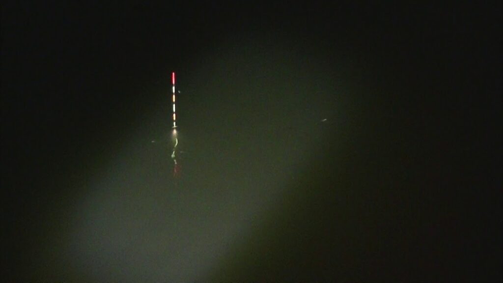 別所沼釣り映像2018.8.17.20：06