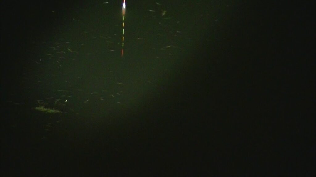 別所沼釣り映像2018.8.18.21.58