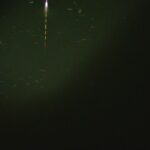 別所沼釣り映像2018.8.18.21.58