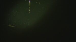 別所沼釣り映像2018.8.18.21.58