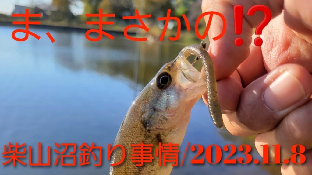 柴山沼釣り事情/2023.11.8