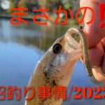 柴山沼釣り事情/2023.11.8