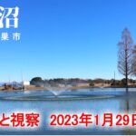 【屈巣沼】視察がてらちょこっと　2023年1月29日（日）