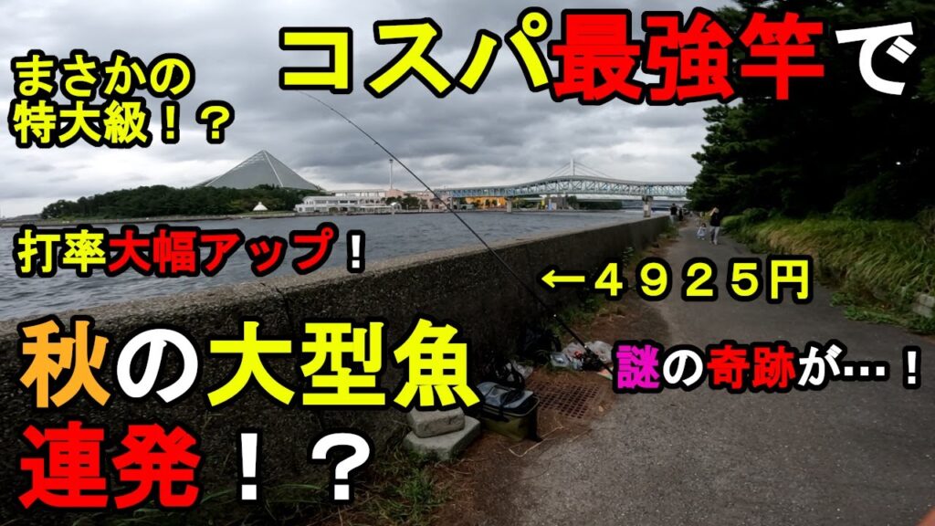 【神奈川県某所】コスパ最強竿で秋の大型魚連発！？海釣りハイシーズン序盤の時期に、関東地方の東京湾側に面した地域にある釣り場で、新しい釣り竿のテスト釣行をしてみたら…！【2024年9月下旬】