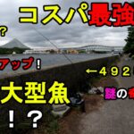 【神奈川県某所】コスパ最強竿で秋の大型魚連発！？海釣りハイシーズン序盤の時期に、関東地方の東京湾側に面した地域にある釣り場で、新しい釣り竿のテスト釣行をしてみたら…！【2024年9月下旬】