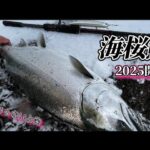 2025開幕🌸 日本海サクラマス1本目！ 【北海道 釣り】