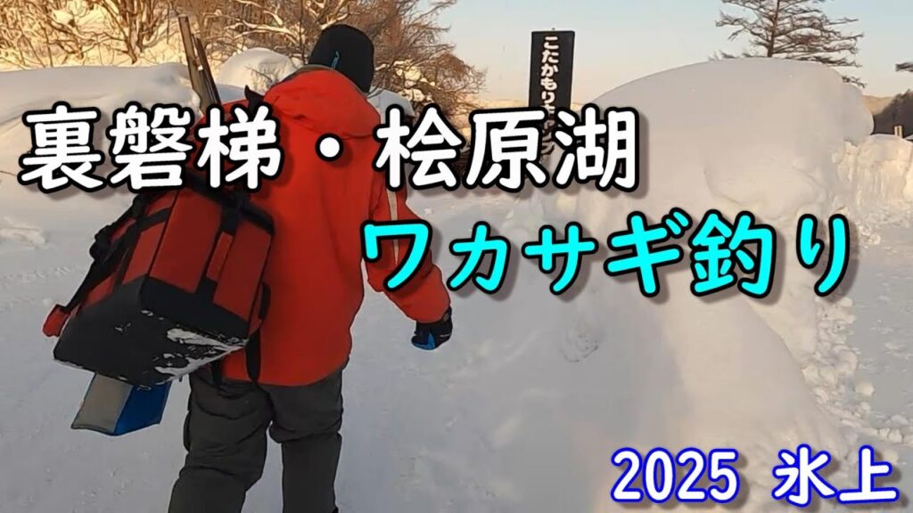 【ワカサギ釣り】2025年氷上 裏磐梯・桧原湖ワカサギ釣り！うぉ～こんな時もあります。こたかもりさんの小屋をお借りしました。