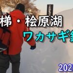 【ワカサギ釣り】2025年氷上 裏磐梯・桧原湖ワカサギ釣り！うぉ～こんな時もあります。こたかもりさんの小屋をお借りしました。