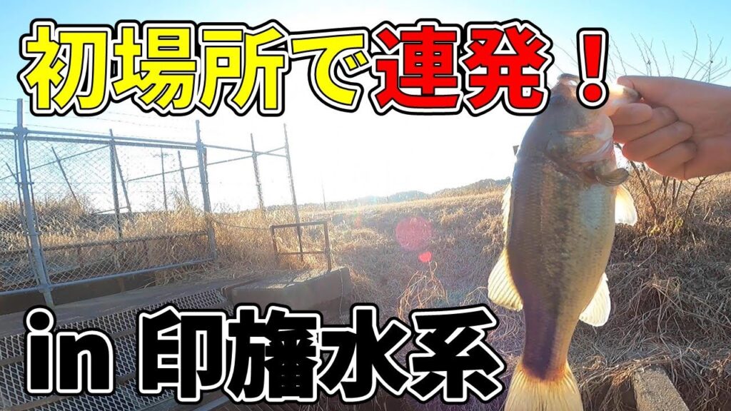 【印旛沼水系】遅ればせながら2025年初動画です！